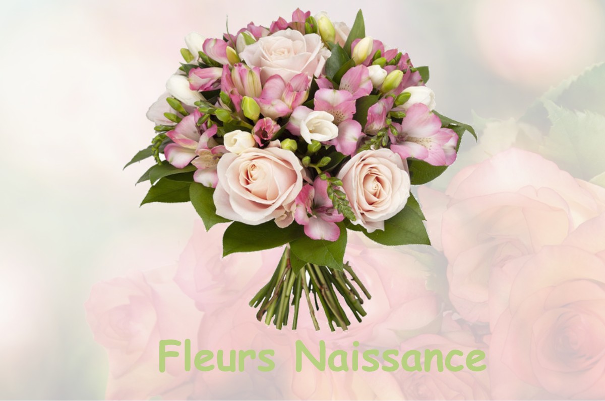 fleurs naissance SAINT-LEGER-DE-LA-MARTINIERE