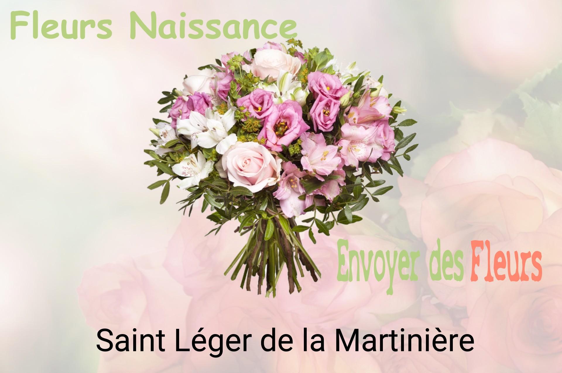 Bouquet de fleurs de naissance livré à Saint-Léger-de-la-Martinière